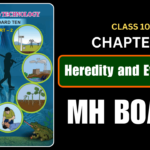 Heredity and Evolution Class 10 Science 2 Chapter 1 Questions And Answers Maharashtra Board
