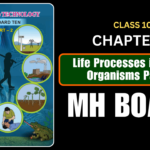 Life Processes in Living Organisms Part -1 Class 10 Science 2 Chapter 2 Questions And Answers Maharashtra Board