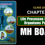 Life Processes in Living Organisms Part -2 Class 10 Science 2 Chapter 3 Questions And Answers Maharashtra Board