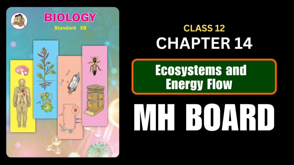 Ecosystems and Energy flow Class 12 Biology Chapter 14 Questions And Answers Maharashtra Board