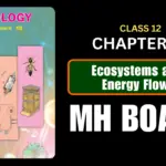Ecosystems and Energy flow Class 12 Biology Chapter 14 Questions And Answers Maharashtra Board