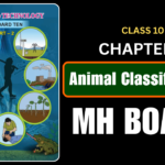 Animal Classification Class 10 Science 2 Chapter 6 Questions And Answers Maharashtra Board