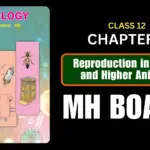 Reproduction in Lower and Higher Animals Class 12 Biology Chapter 2 Questions And Answers Maharashtra Board
