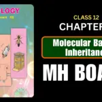 Molecular Basis of Inheritance Class 12 Biology Chapter 4 Questions And Answers Maharashtra Board