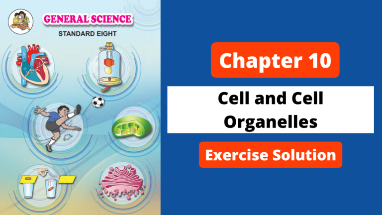 Class 8 | Science | Chapter 10 | Cell and Cell Organelles | Exercise Solution | Maharashtra Board