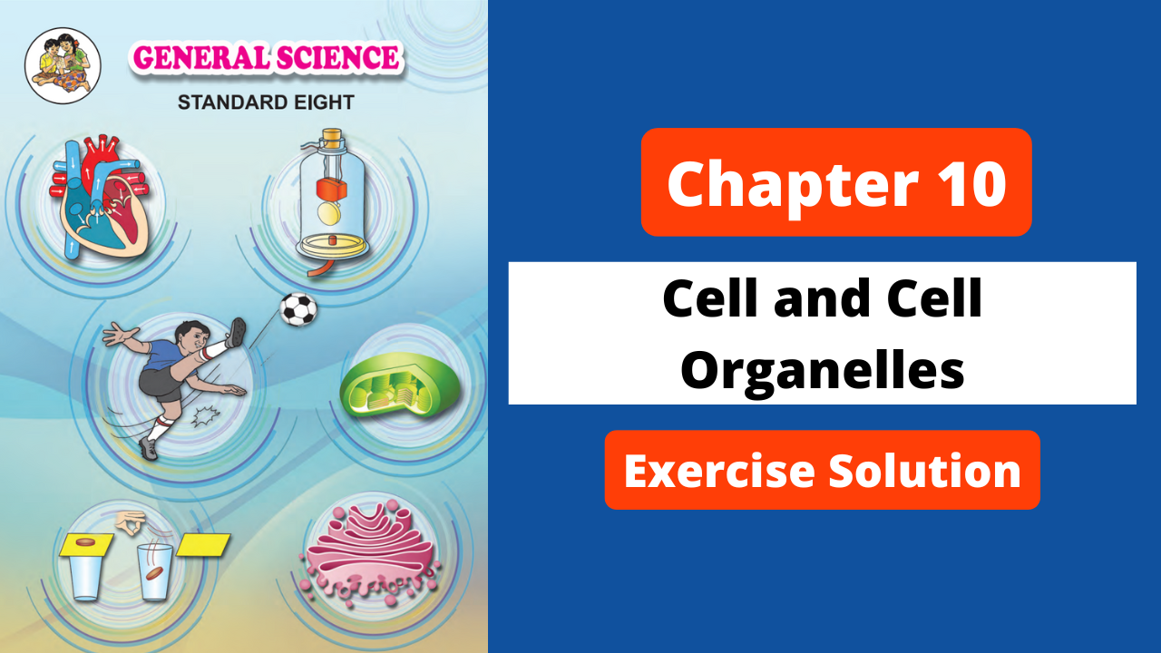 Class 8 | Science | Chapter 10 | Cell and Cell Organelles | Exercise Solution | Maharashtra Board