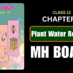Plant Water Relation Class 12 Biology Chapter 6 Questions And Answers Maharashtra Board