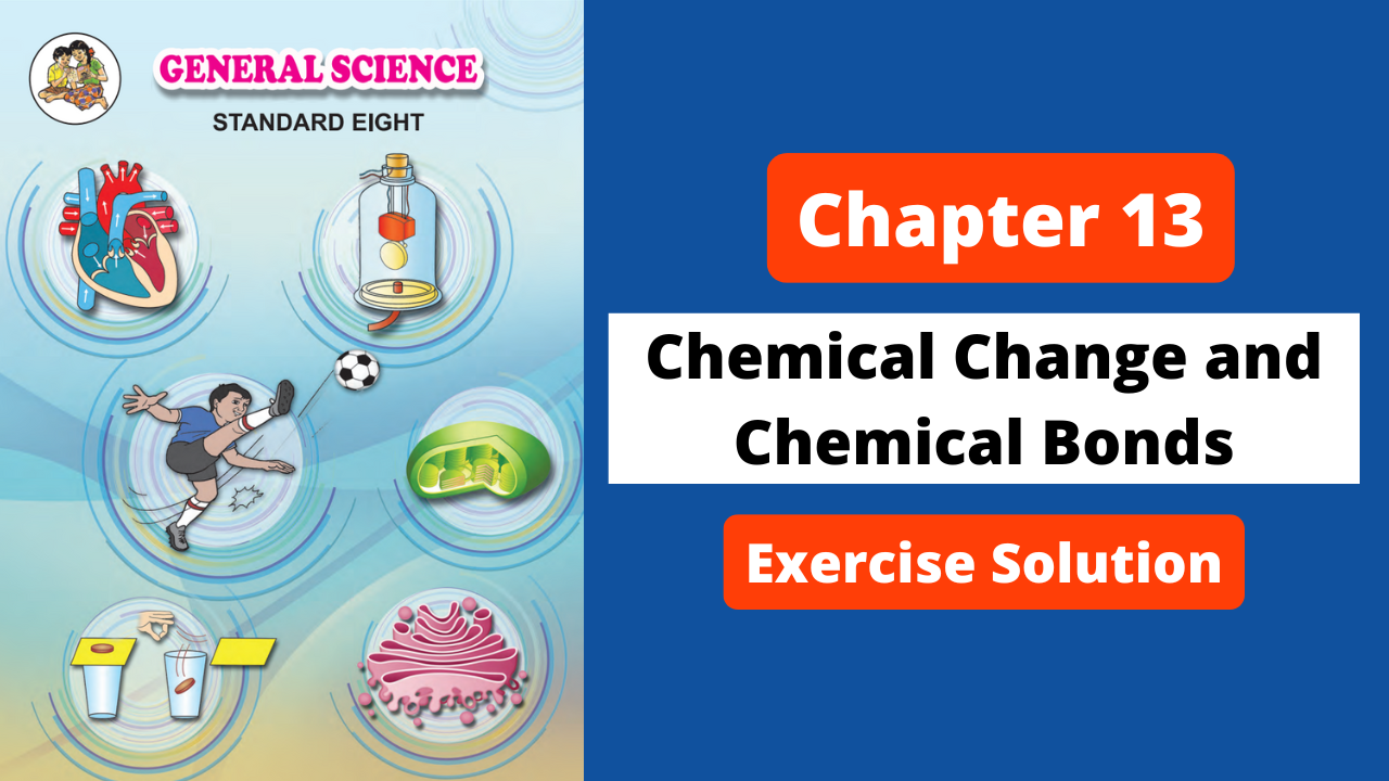 Class 8 | Science | Chapter 13 | Chemical Change and Chemical Bonds | Exercise Solution | Maharashtra Board
