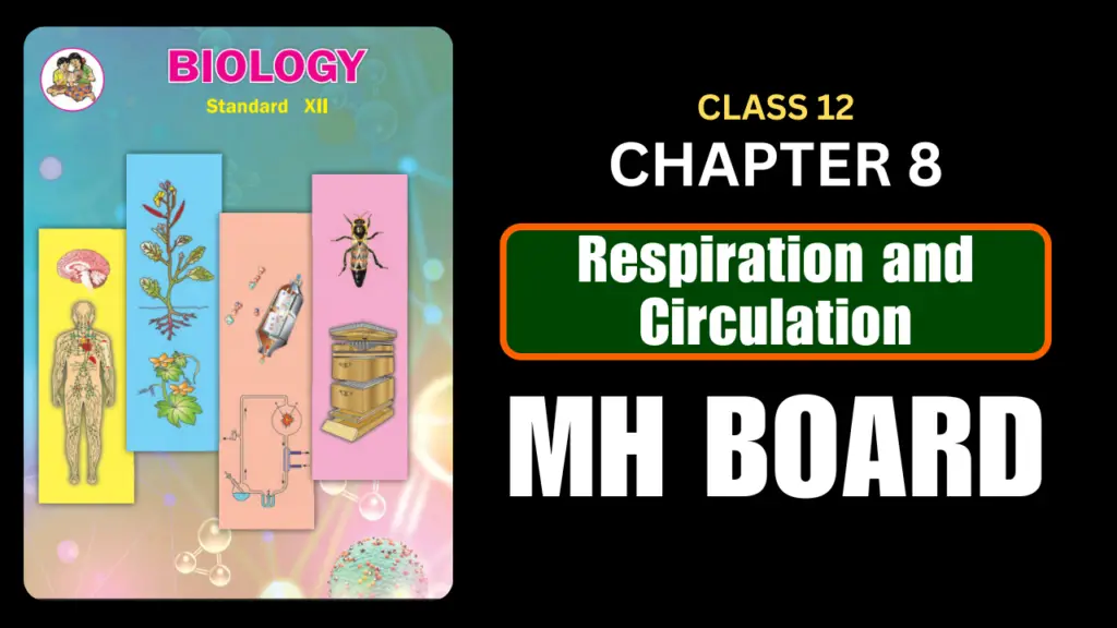Respiration and Circulation Class 12 Biology Chapter 8 Questions And Answers Maharashtra Board