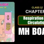 Respiration and Circulation Class 12 Biology Chapter 8 Questions And Answers Maharashtra Board