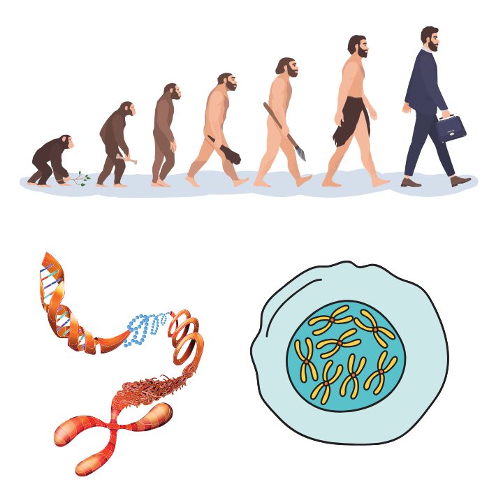 Heredity and evolution