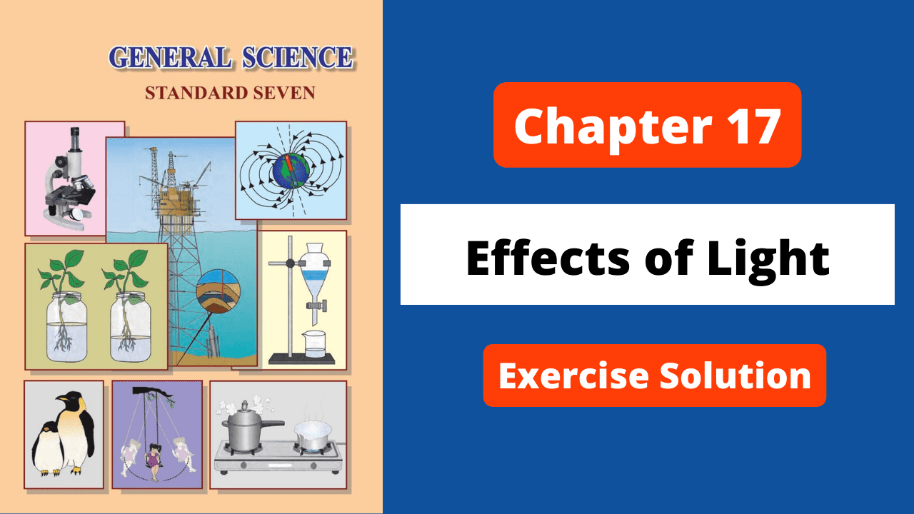 Class 7 | Science | Chapter 17 | Effects Of Light | Maharashtra Board | Solution