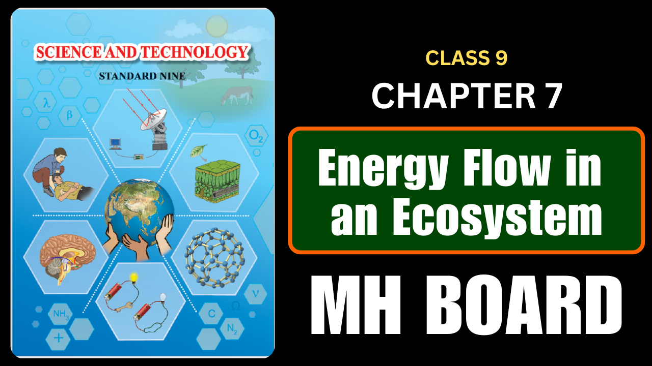 Energy Flow in an Ecosystem Class 9 Science Chapter 7 Questions And Answers Maharashtra Board